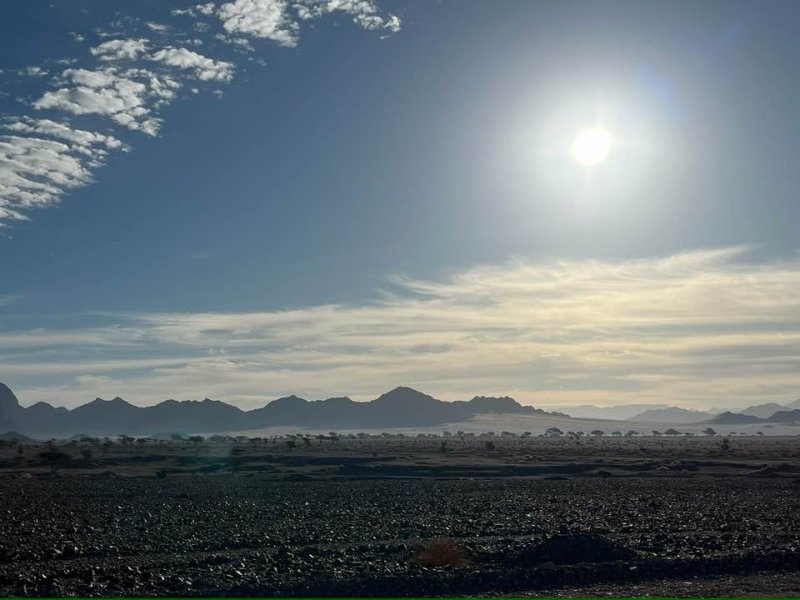 2025 12 24g - JoceMidée.jpg