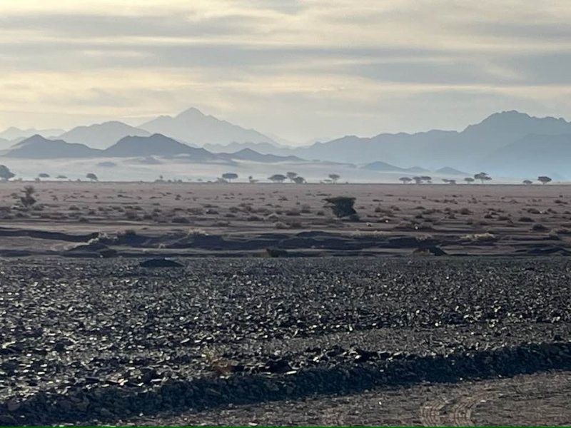 2025 12 24k - JoceMidée.jpg