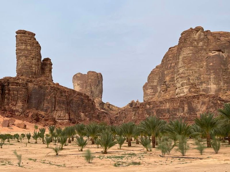 2025 12 25b - JoceMidée.jpg