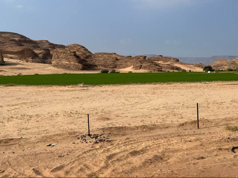 2025 12 26i - JoceMidée.jpg