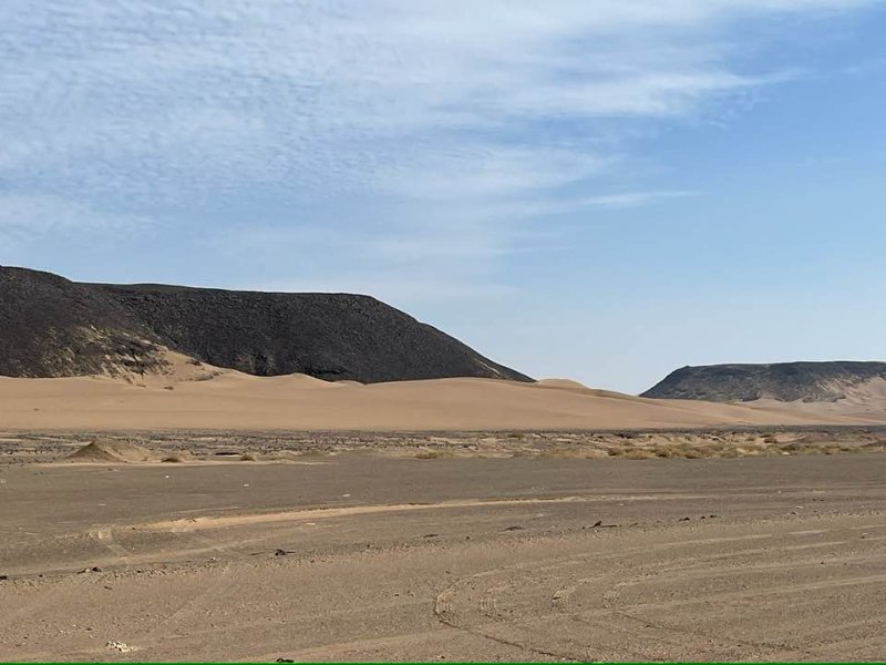 2025 12 27a - JoceMidée.jpg