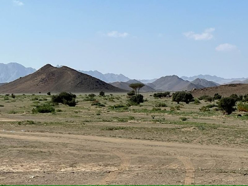 2025 12 27c - JoceMidée.jpg