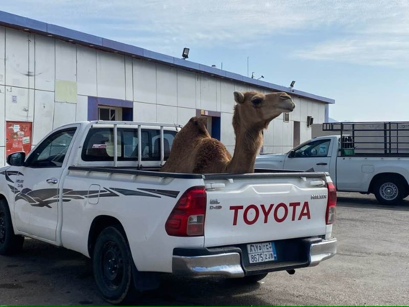 2025 12 27e - JoceMidée.jpg