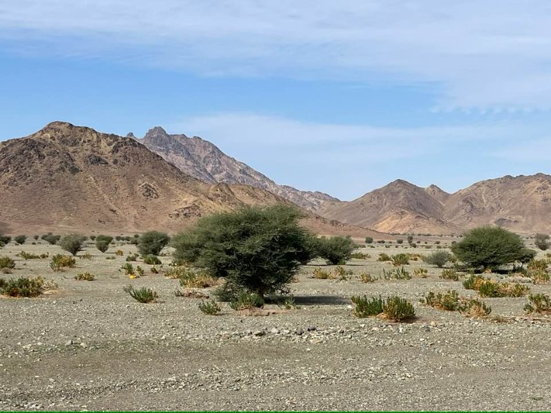 2025 12 27h - JoceMidée.jpg