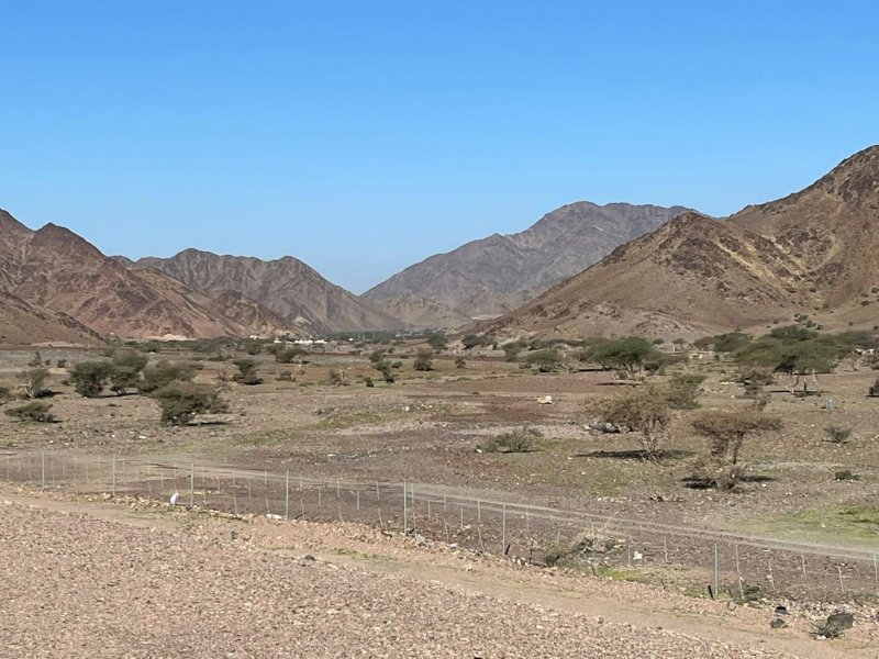 2025 12 29a - JoceMidée.jpg