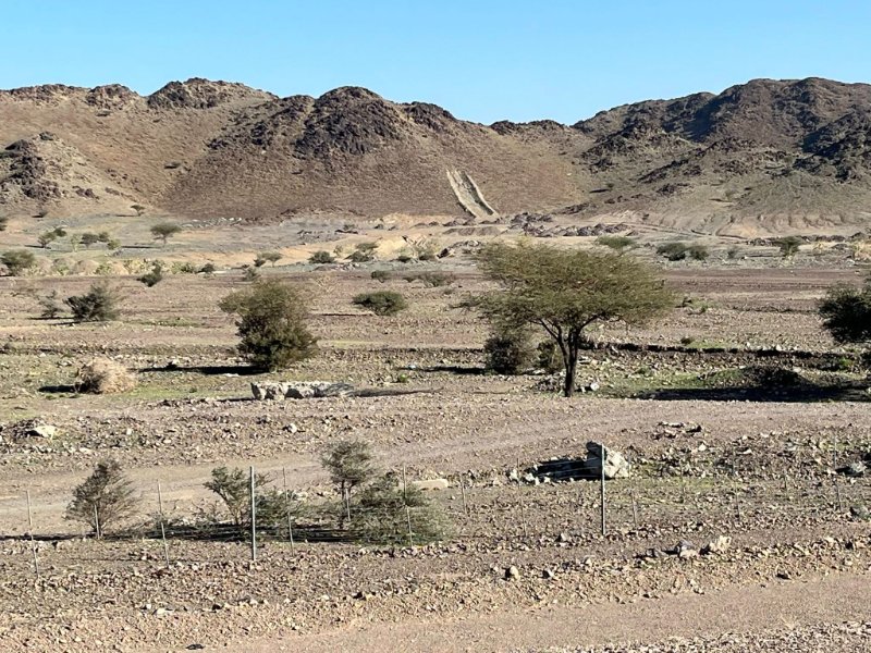 2025 12 29b - JoceMidée.jpg