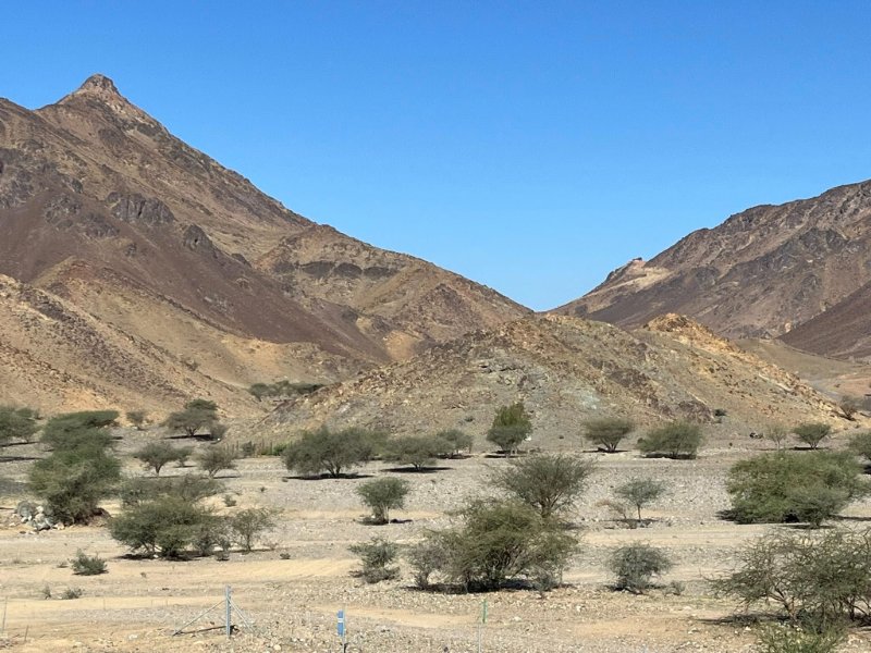 2025 12 29c - JoceMidée.jpg