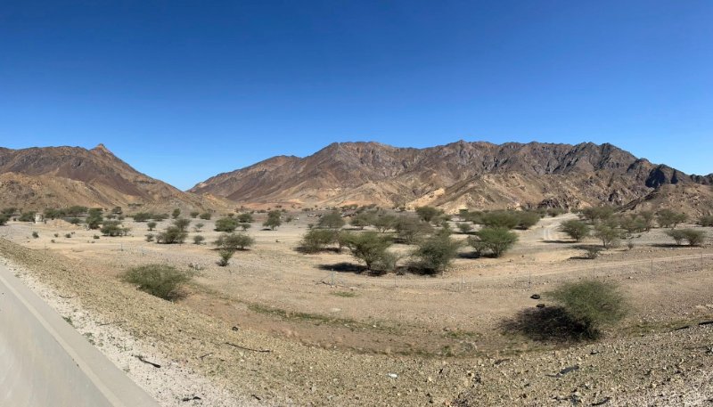 2025 12 29d - JoceMidée.jpg