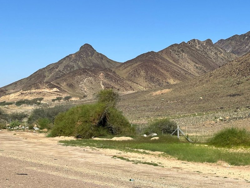 2025 12 29h - JoceMidée.jpg