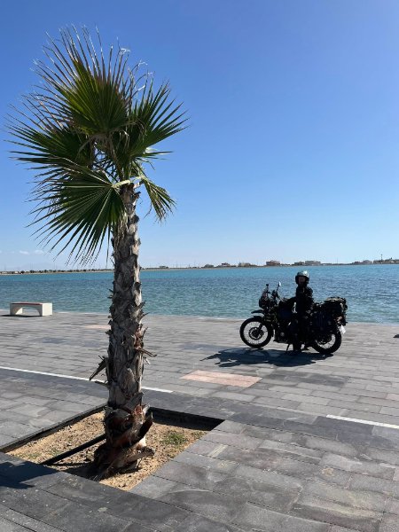 2025 12 29m - JoceMidée.jpg