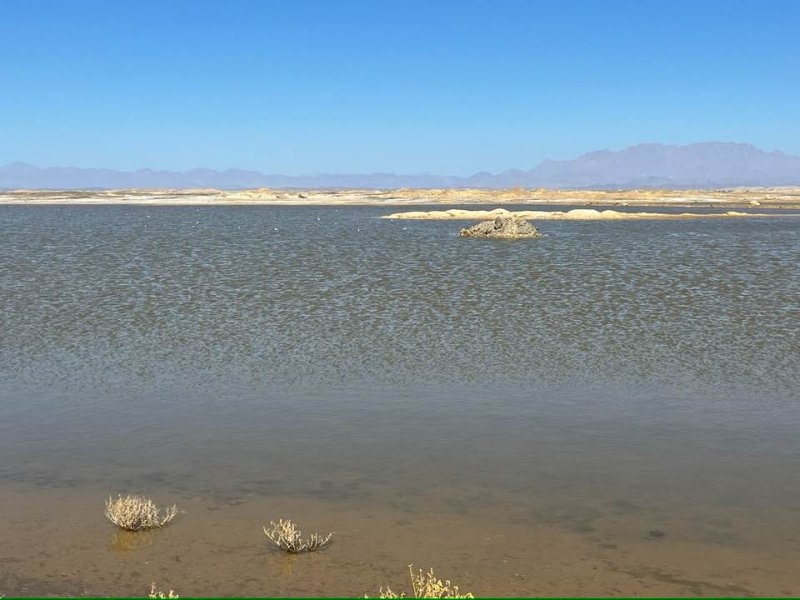 2025 12 30c - JoceMidée.jpg