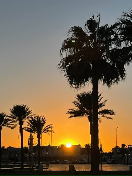 2025 12 30d - JoceMidée.jpg