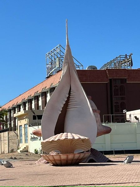 2025 12 30e - JoceMidée.jpg