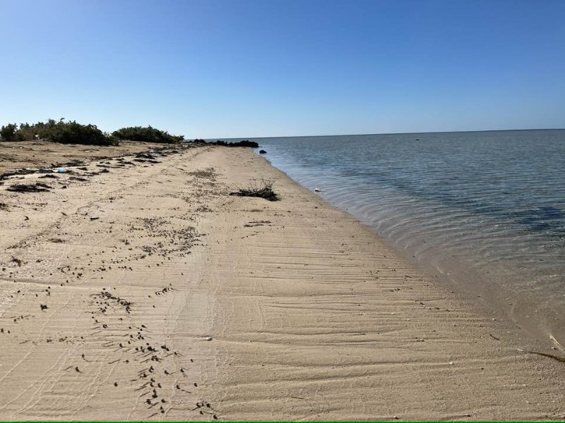 2025 12 30m - JoceMidée.jpg