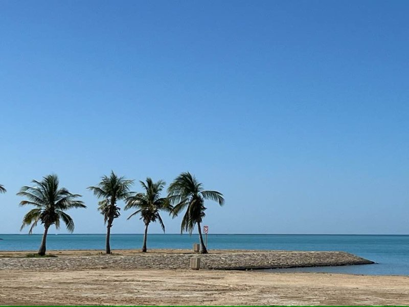 2025 12 30s - JoceMidée.jpg