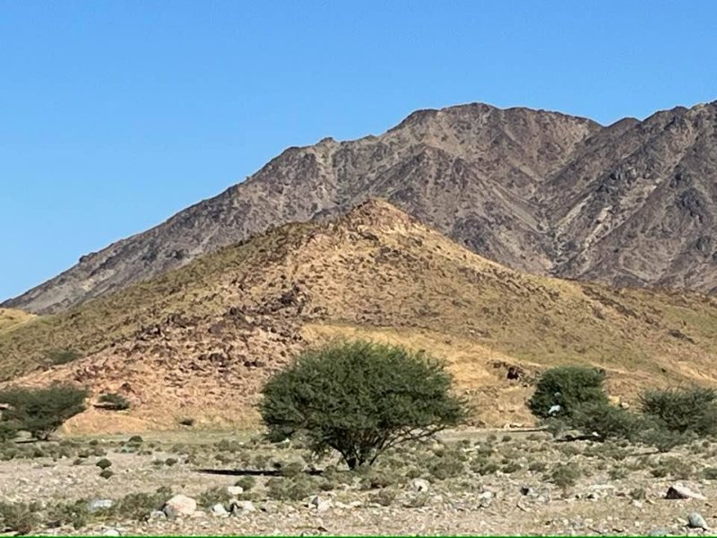 2026 01 02a - JoceMidée.jpg