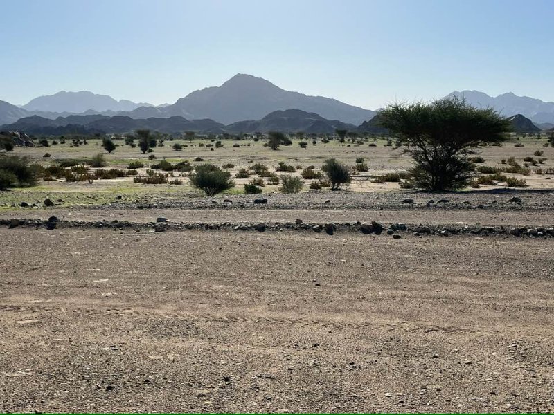 2026 01 02d - JoceMidée.jpg