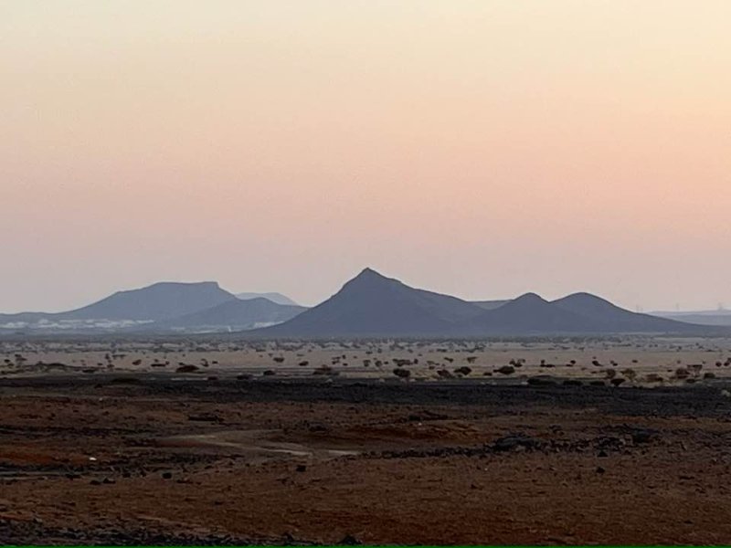 2026 01 03i - JoceMidée.jpg