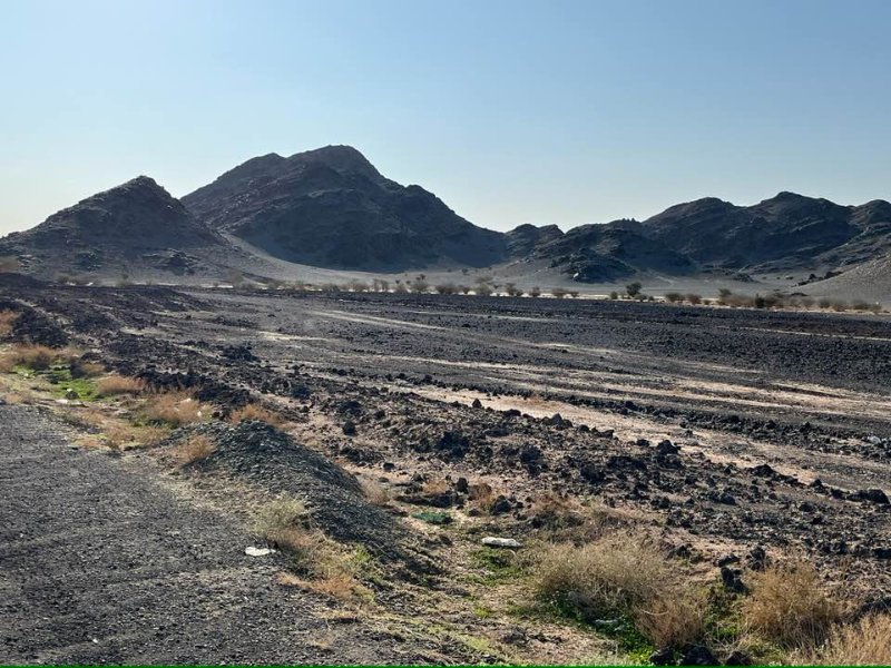 2026 01 03k - JoceMidée.jpg