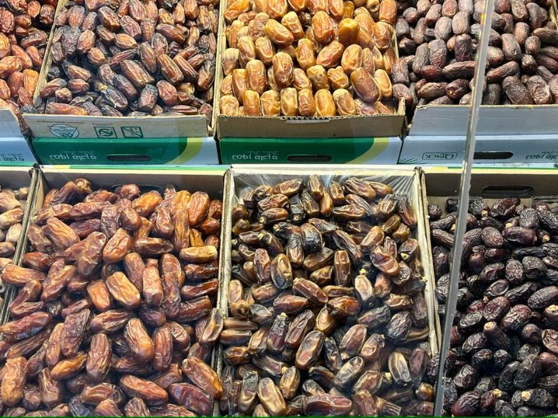 2026 01 05q - JoceMidée.jpg