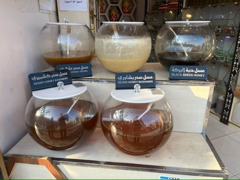 2026 01 05x - JoceMidée.jpg