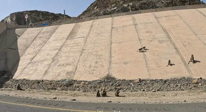 2026 01 06a - JoceMidée.jpg