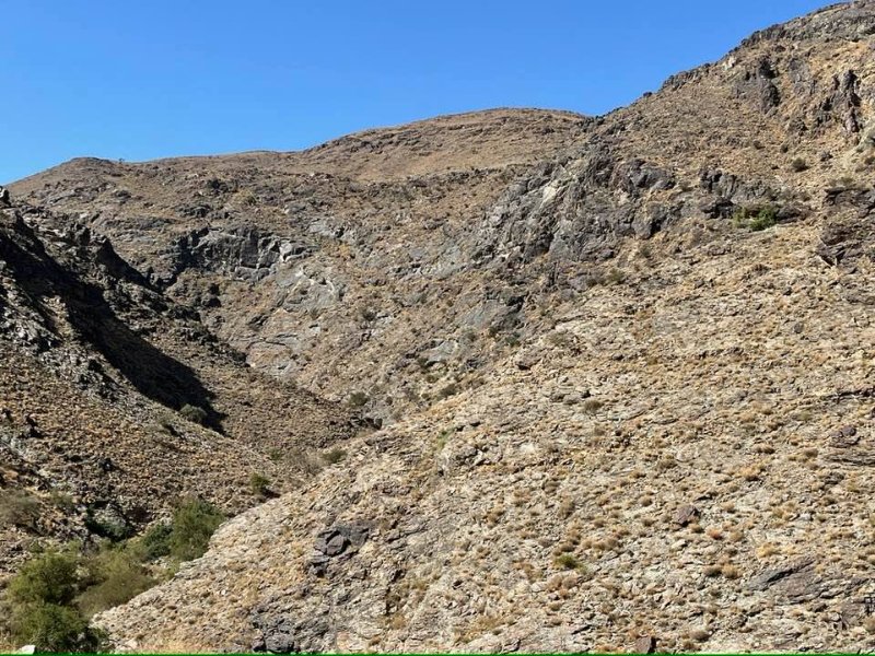 2026 01 06b - JoceMidée.jpg