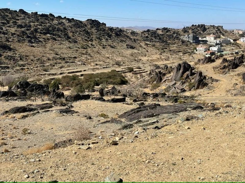 2026 01 06e - JoceMidée.jpg