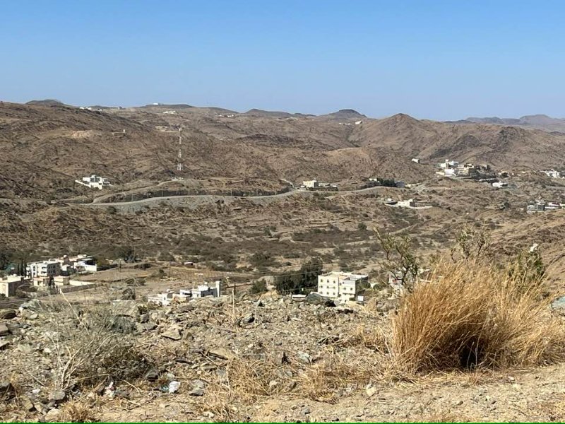 2026 01 06g - JoceMidée.jpg