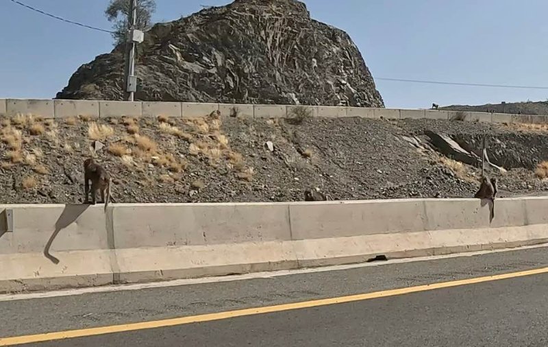 2026 01 06i - JoceMidée.jpg