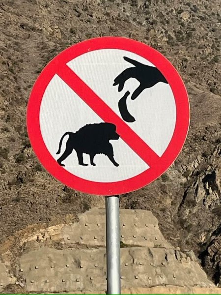 2026 01 07a - JoceMidée.jpg