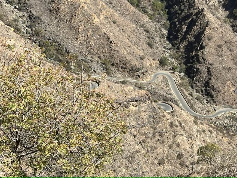 2026 01 07h - JoceMidée.jpg