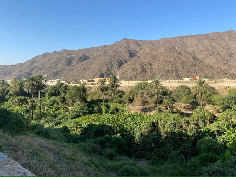 2026 01 07j - JoceMidée.jpg