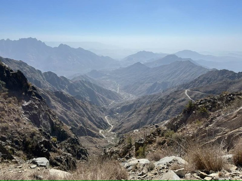 2026 01 07m - JoceMidée.jpg