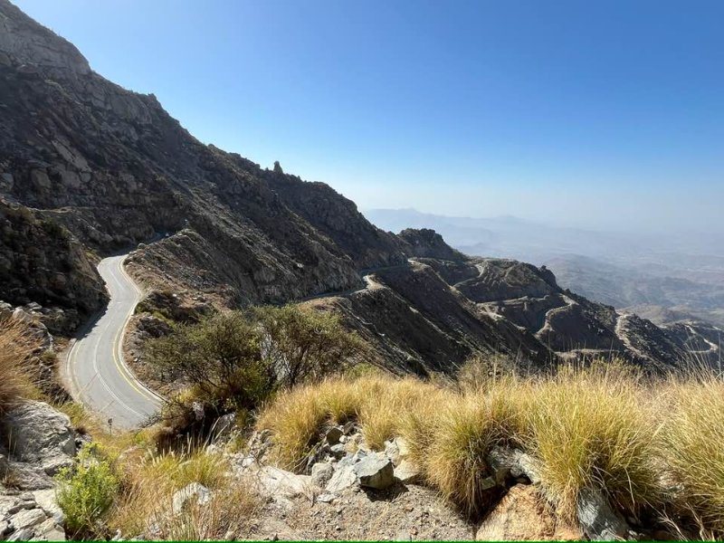 2026 01 07q - JoceMidée.jpg