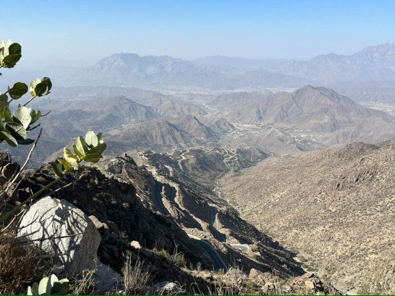 2026 01 07r - JoceMidée.jpg