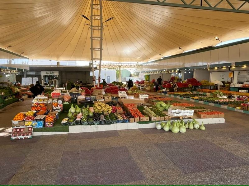 2026 01 07t - JoceMidée.jpg