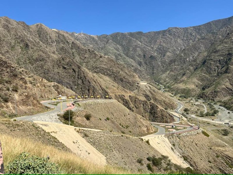 2026 01 08hb - JoceMidée.jpg