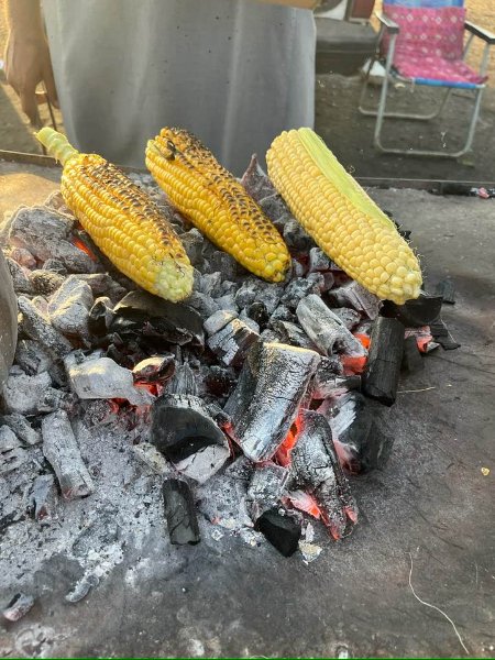 2026 01 10oa - JoceMidée.jpg