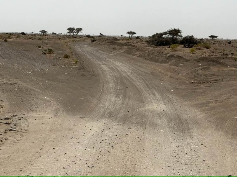 2026 01 25c - JoceMidée.jpg