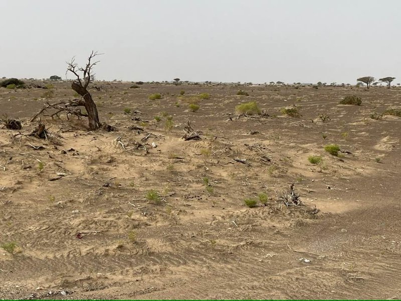 2026 01 25ca - JoceMidée.jpg