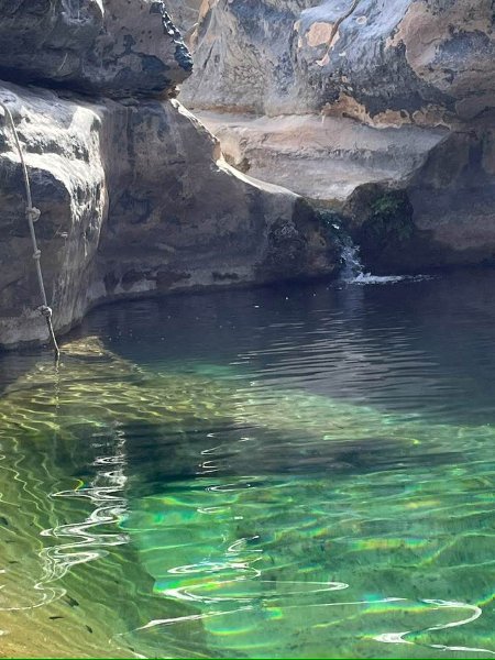 2026 01 26ma - JoceMidée.jpg