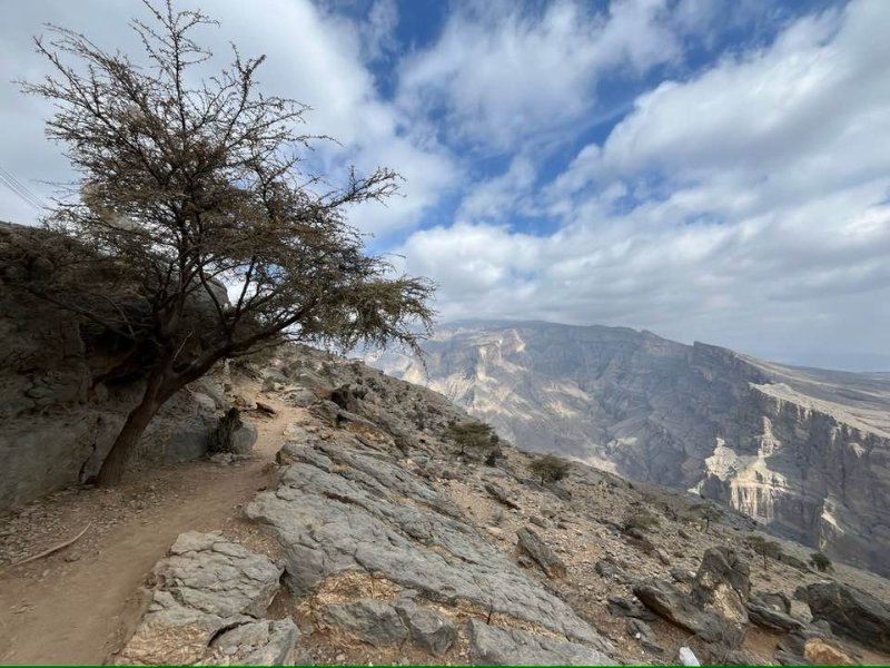 2026 01 27f - JoceMidée.jpg