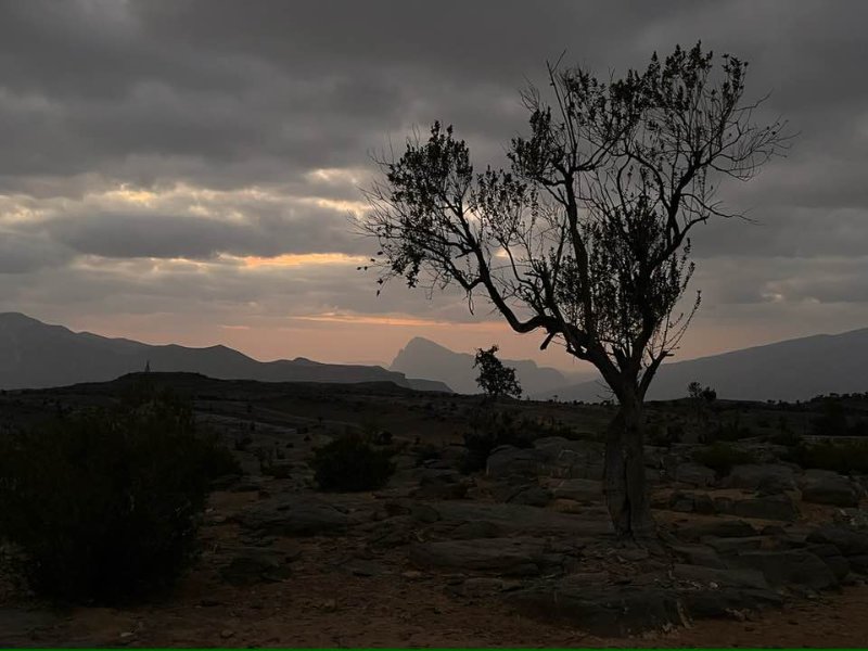 2026 01 27k - JoceMidée.jpg