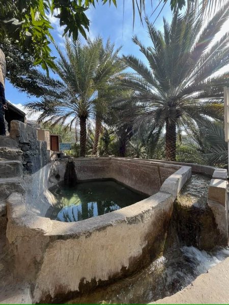 2026 01 27p - JoceMidée.jpg