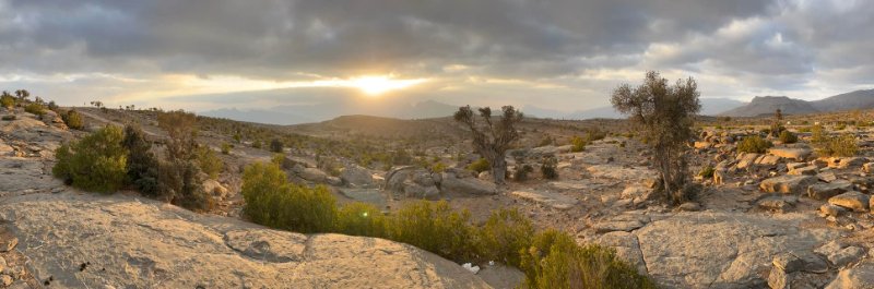 2026 01 27t - JoceMidée.jpg