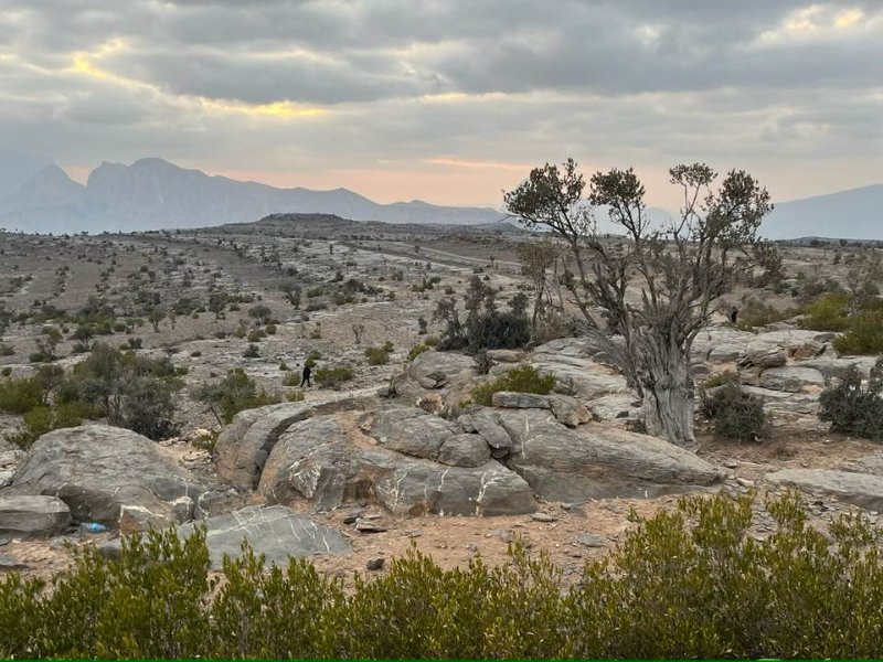 2026 01 27v - JoceMidée.jpg