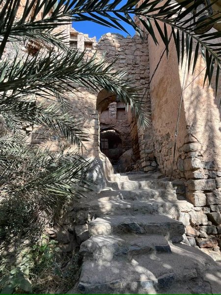 2026 01 27w - JoceMidée.jpg