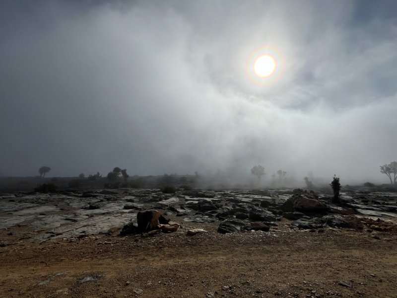 2026 01 28q - JoceMidée.jpg