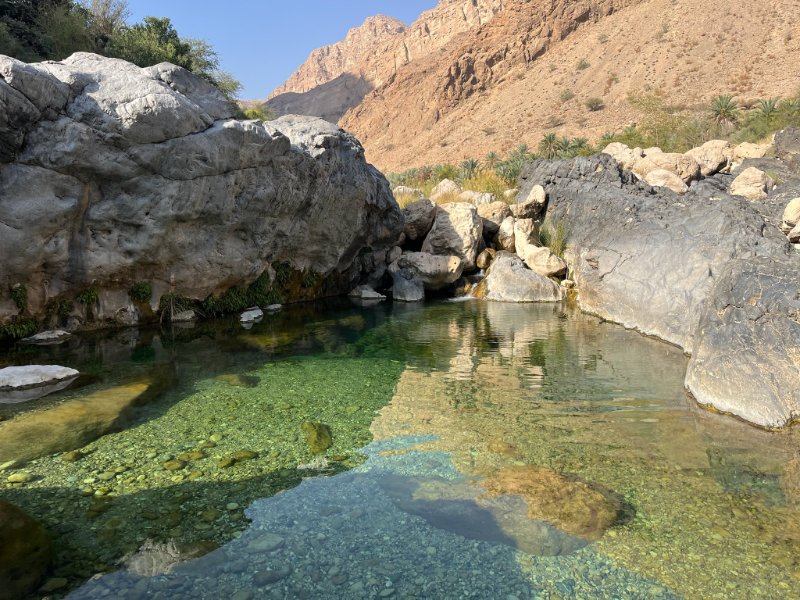 2026 02 05c - JoceMidée.jpg